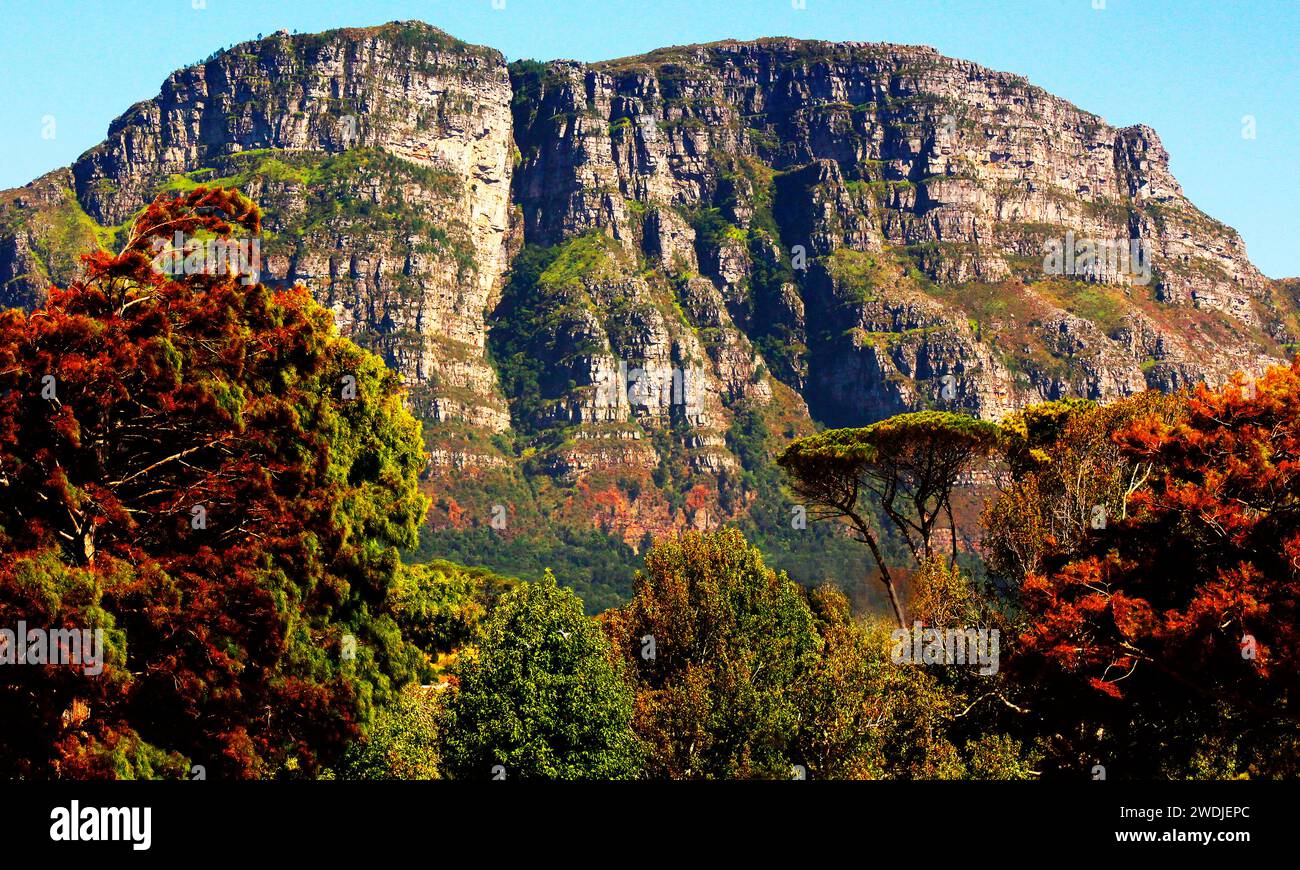 Parte del massiccio della Table Mountain prelevata dal centro di città del Capo. Foto Stock