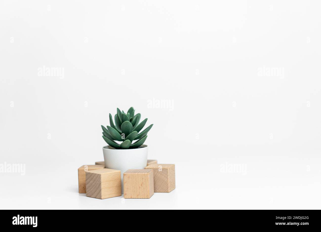 cubi di legno con piante verdi su sfondo bianco da vicino Foto Stock
