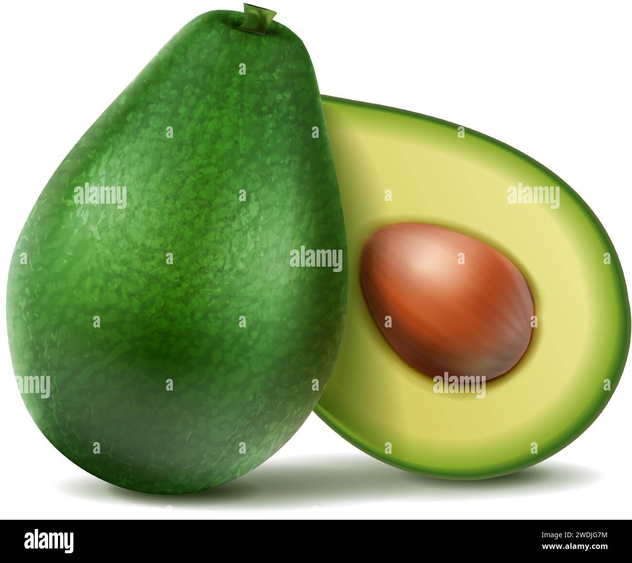 set di icone vettoriali realistiche. Avocado verde intero e tagliato a metà. Isolato su sfondo bianco. Illustrazione Vettoriale