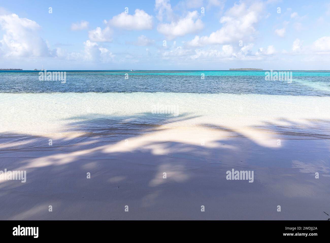 Ombre di palme su una splendida spiaggia sabbiosa con acque turchesi e cristalline su un'isola tropicale dell'arcipelago di San blas, del Mar dei Caraibi, di Panama Foto Stock