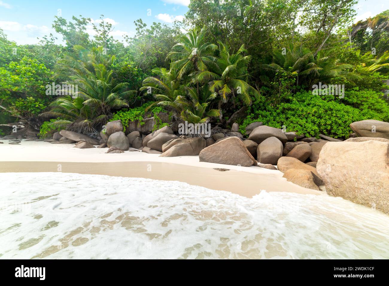 Rocce e palme nella famosa spiaggia di Anse Georgette nell'isola di Praslin, Seychelles Foto Stock