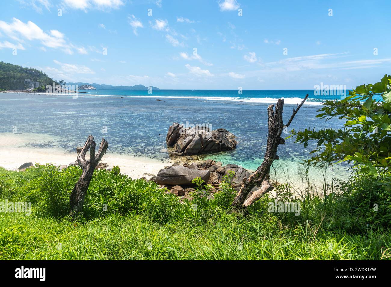 Vegetazione verde sul mare nella laguna di Port Glaud. Isola di Mahe, Seychelles Foto Stock