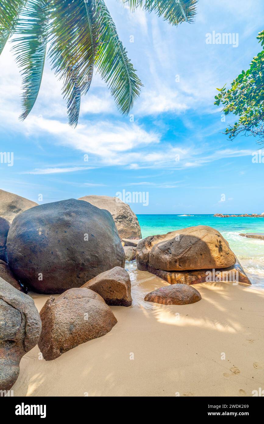 Palme e rocce granitiche a Glacis Beach. Isola di Mahe, Seychelles Foto Stock