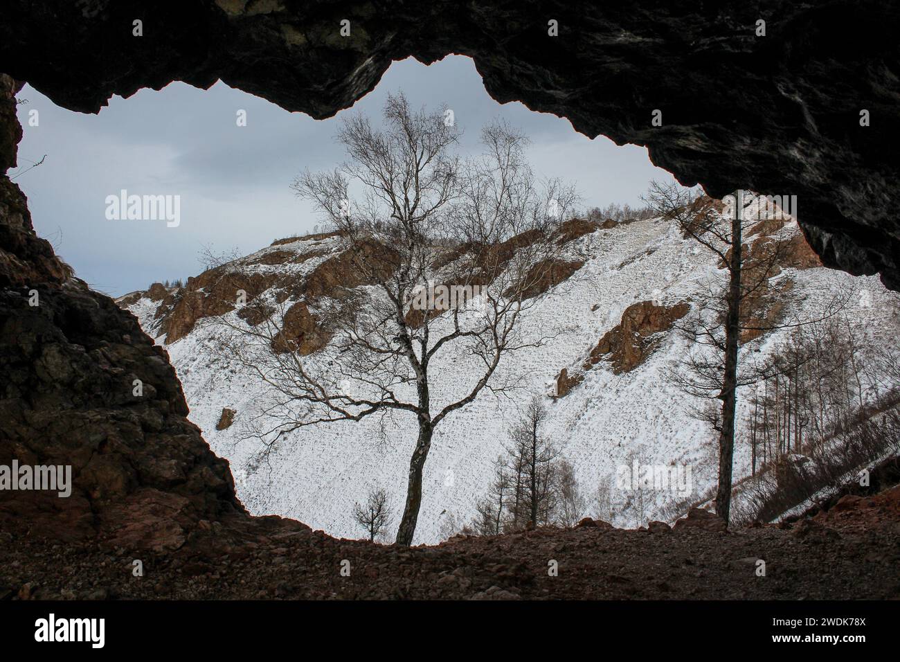 Vista dalla grotta sul monte innevato con rocce e alberi. Formazione rocciosa arco naturale crea una cornice, paesaggio invernale siberiano. Crinale di Torgashinsky Foto Stock
