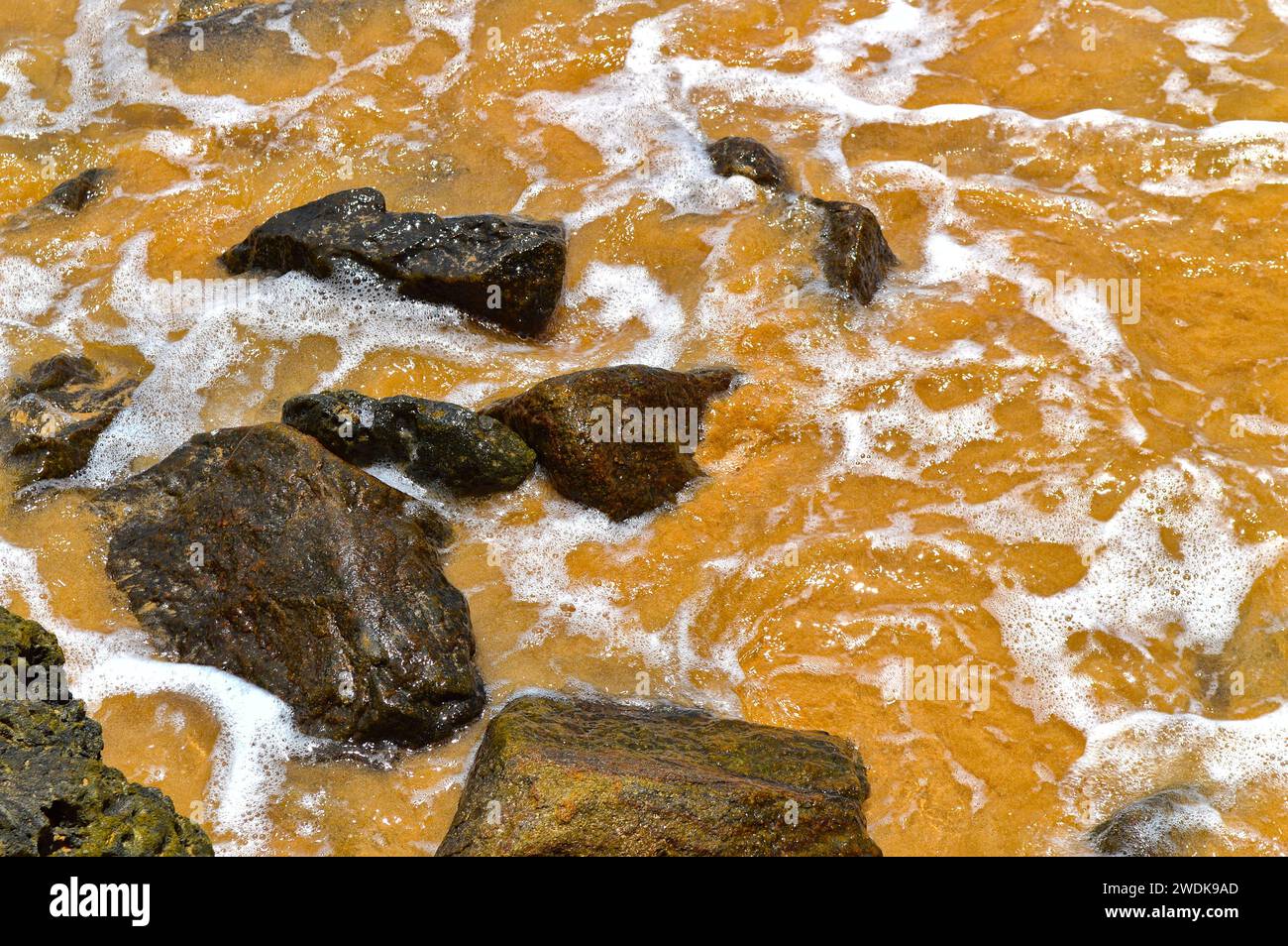 Onde bellissime che creano schiuma sulla spiaggia sabbiosa Foto Stock