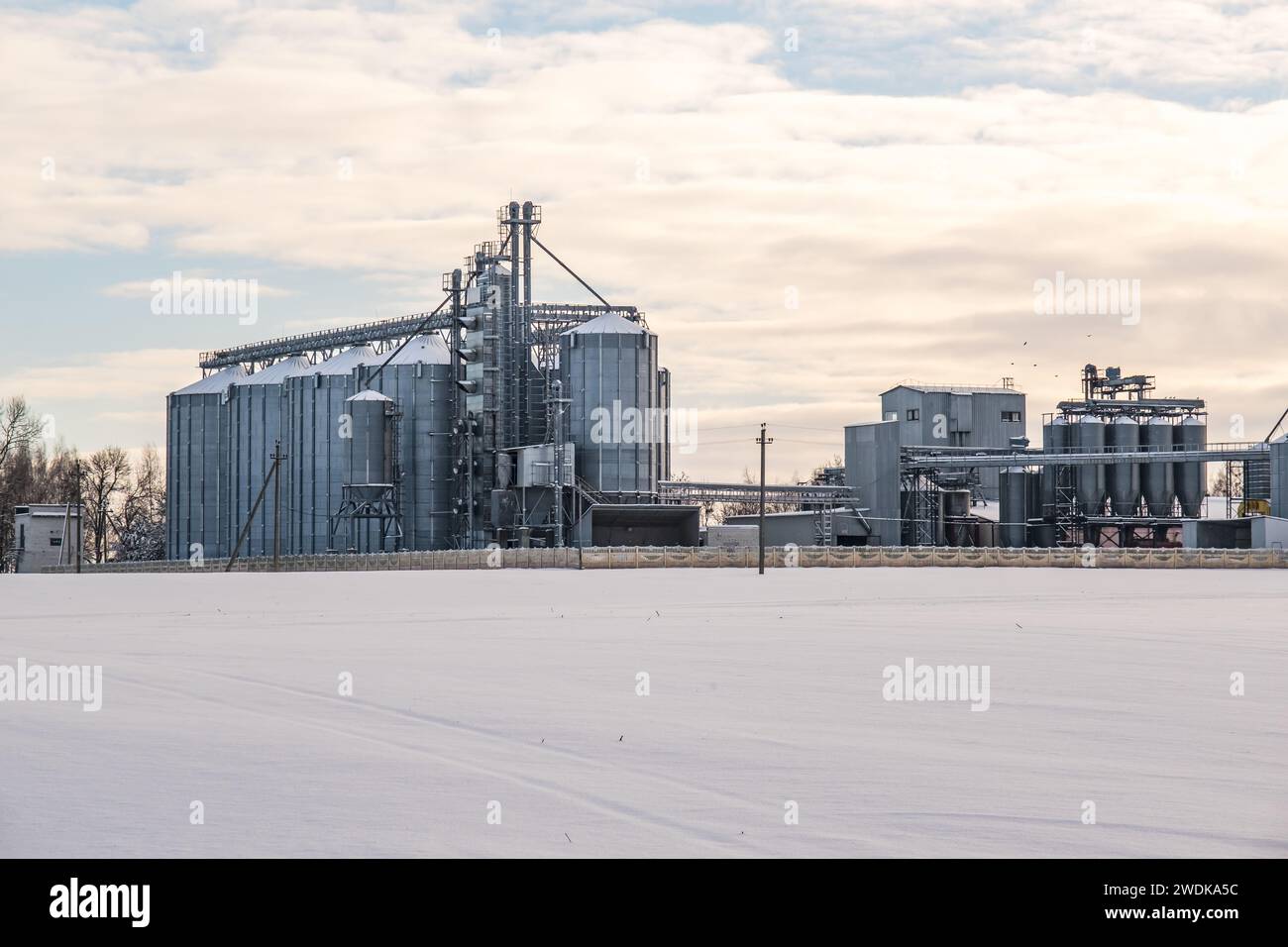 silos e impianti di agro-lavorazione per essiccazione, pulizia e stoccaggio e preparazione di semi complessi in neve di campi invernali Foto Stock