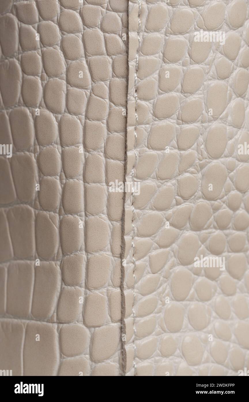 Linea di cuciture sulla pelle di colore beige vista ravvicinata macro Foto Stock