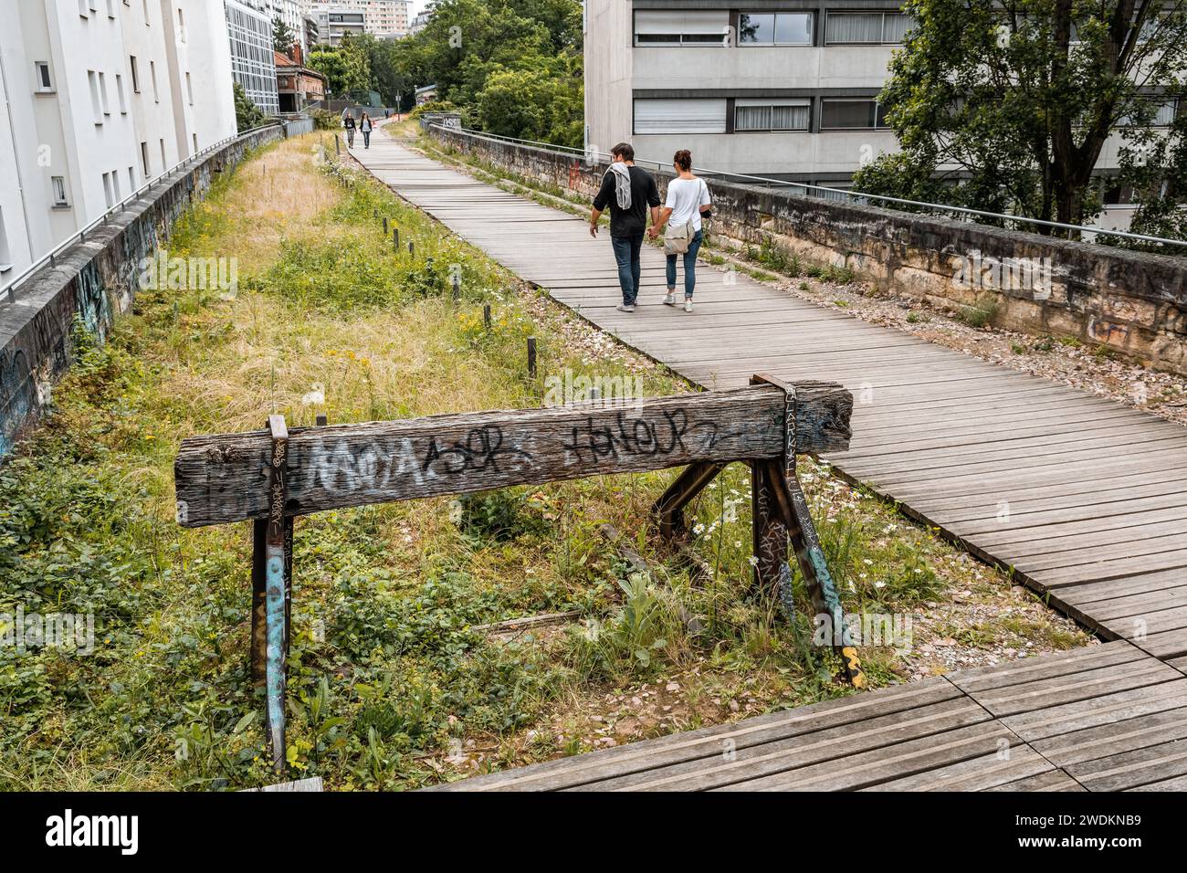 Petite Ceinture del 15° arrondissement di Parigi, Francia Foto Stock