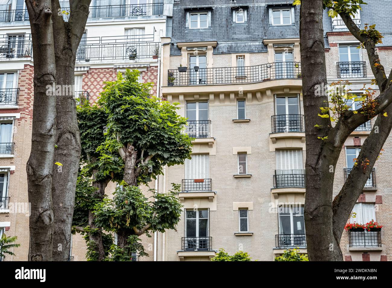 Tronchi ed edifici nel 15° arrondissement di Parigi, Francia Foto Stock