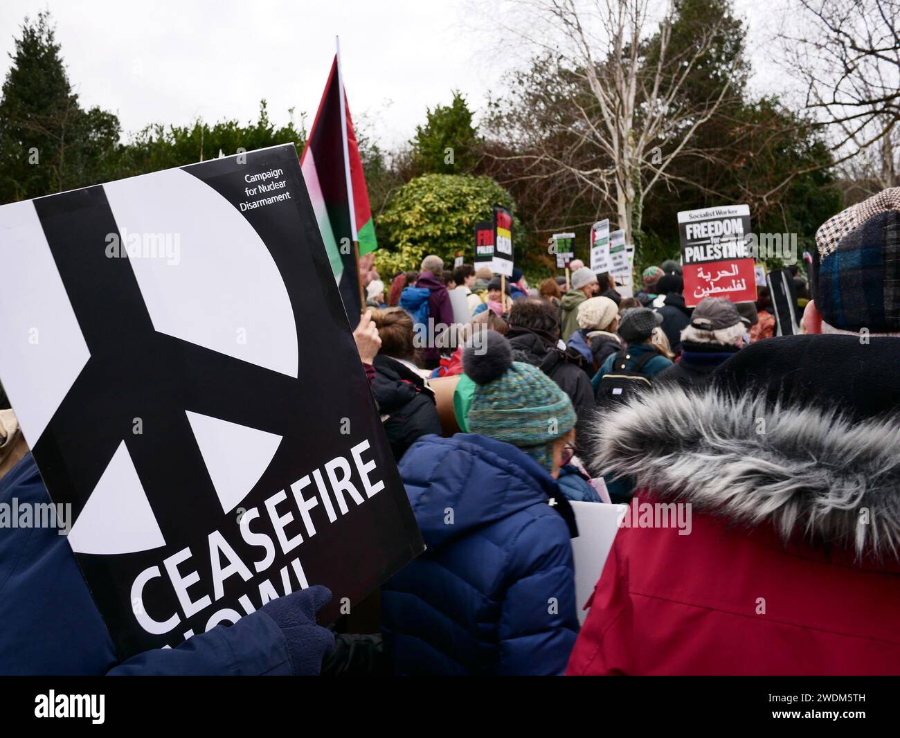 Cartello del CND in una marcia di protesta che chiede un cessate il fuoco ora nel conflitto di Gaza. 20 gennaio 2024. Exeter, Devon, Regno Unito Foto Stock