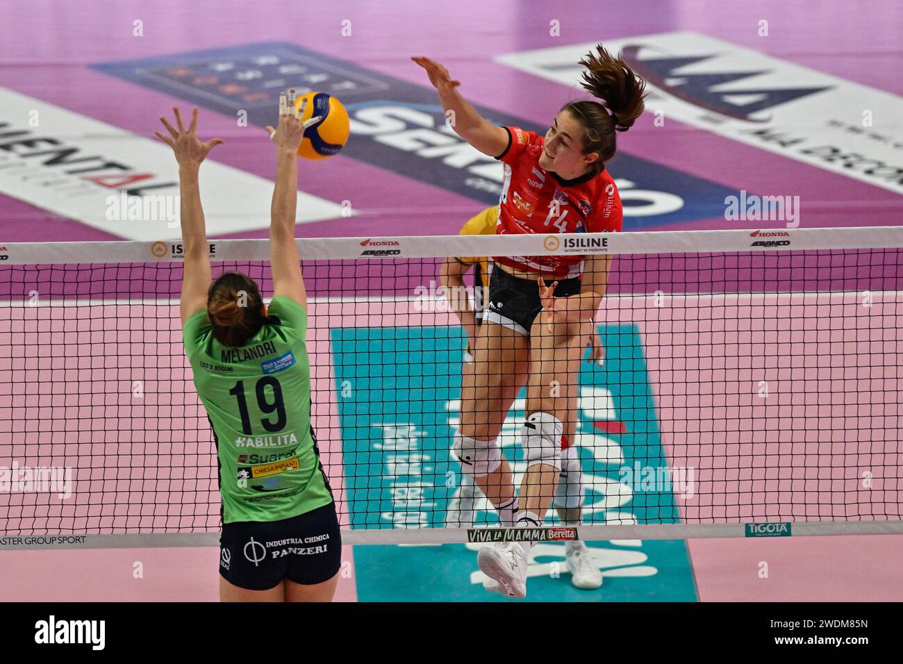 Cuneo, Italia. 21 gennaio 2024. LauraMelandri Bergamo) - Anna Hall (Cuneo) durante Cuneo Granda Volley vs Volley Bergamo 1991, Volley serie A1 Italian Women Match a Cuneo, Italia, 21 gennaio 2024 crediti: Independent Photo Agency/Alamy Live News Foto Stock