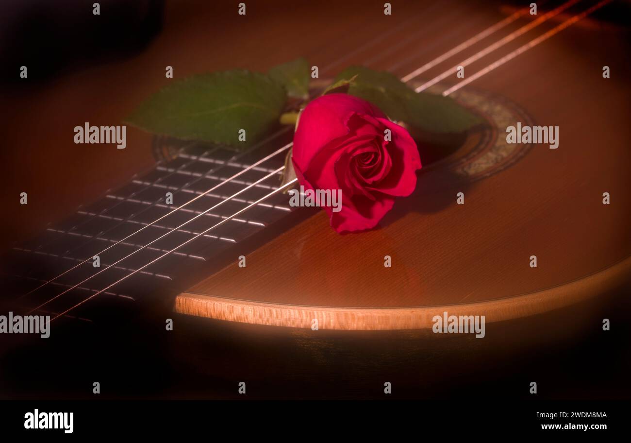 Red Rose su chitarra classica Foto Stock