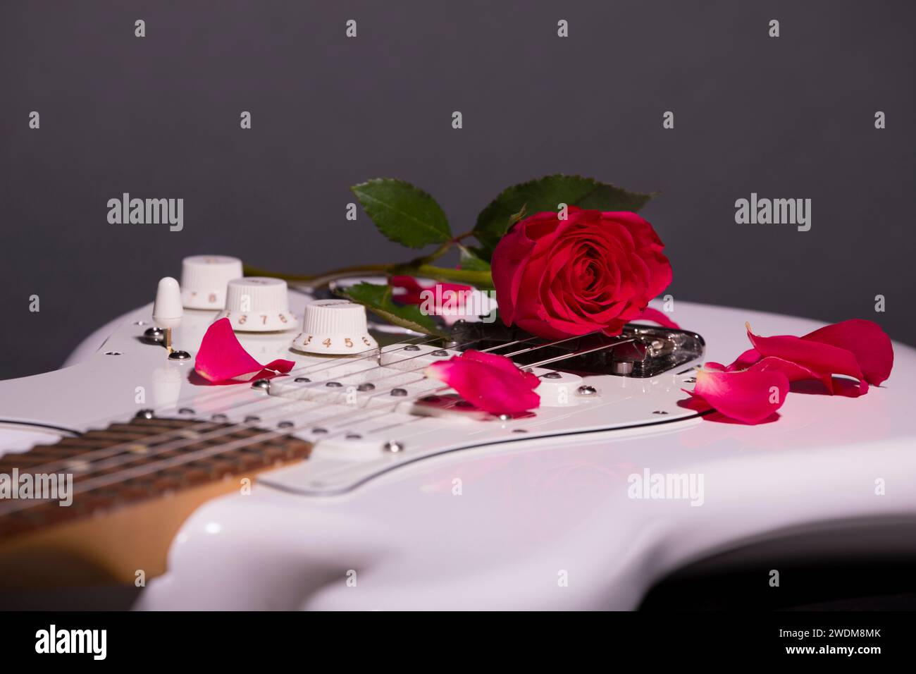 Red Rose e petali di rosa su White Electric Guitar Foto Stock