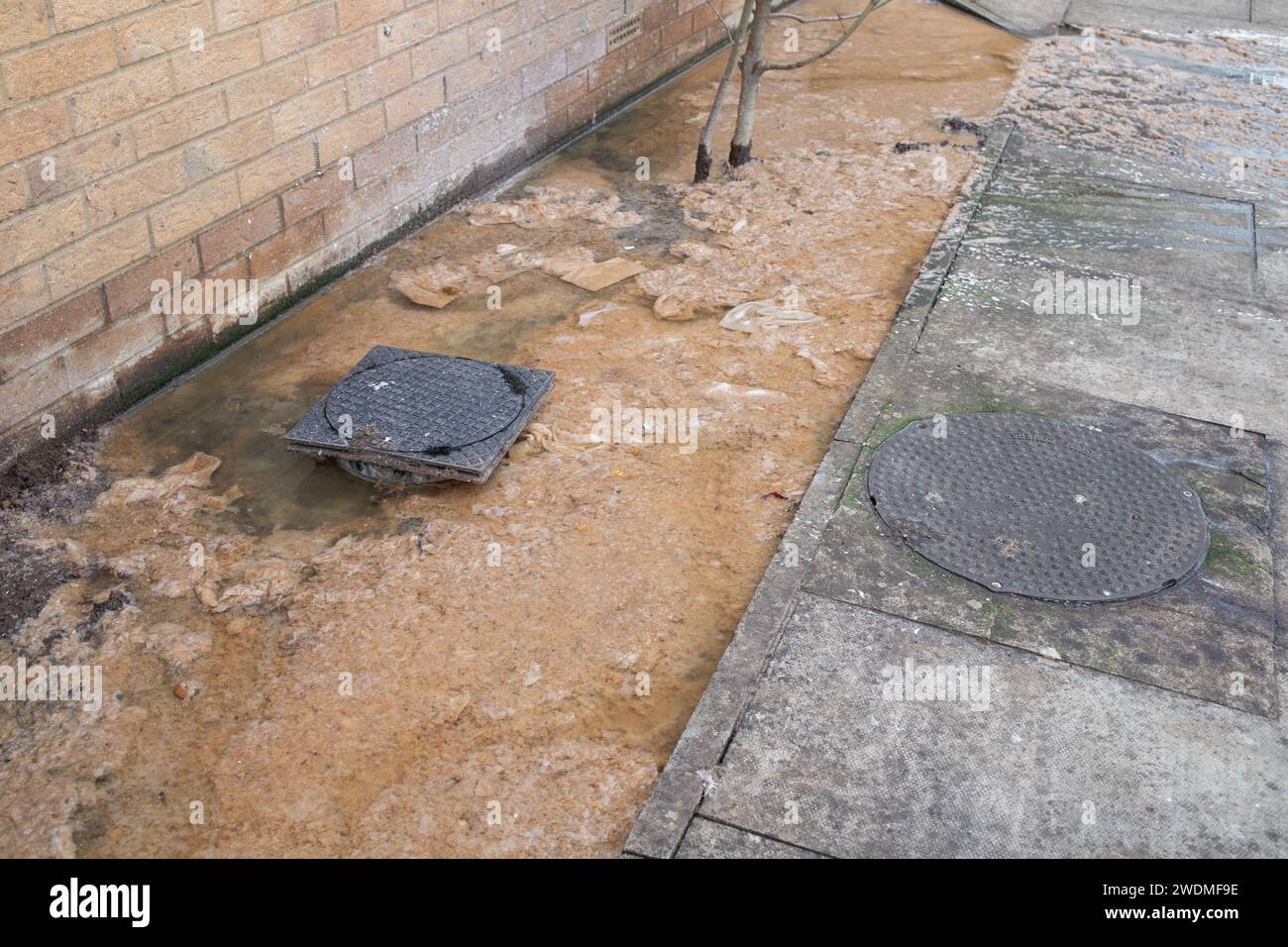 Primo piano a un problema di drenaggio in cui i tubi sono ostruiti e le acque reflue marroni fuoriescono sulla strada Foto Stock