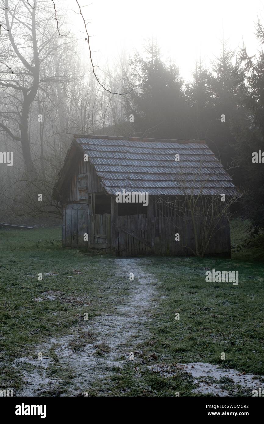 il debole sole invernale della mattina presto penetra nella nebbia nel giardino rurale di un negozio di legno in legno con un sentiero ghiacciato attraverso l'erba della contea di zala in ungheria Foto Stock