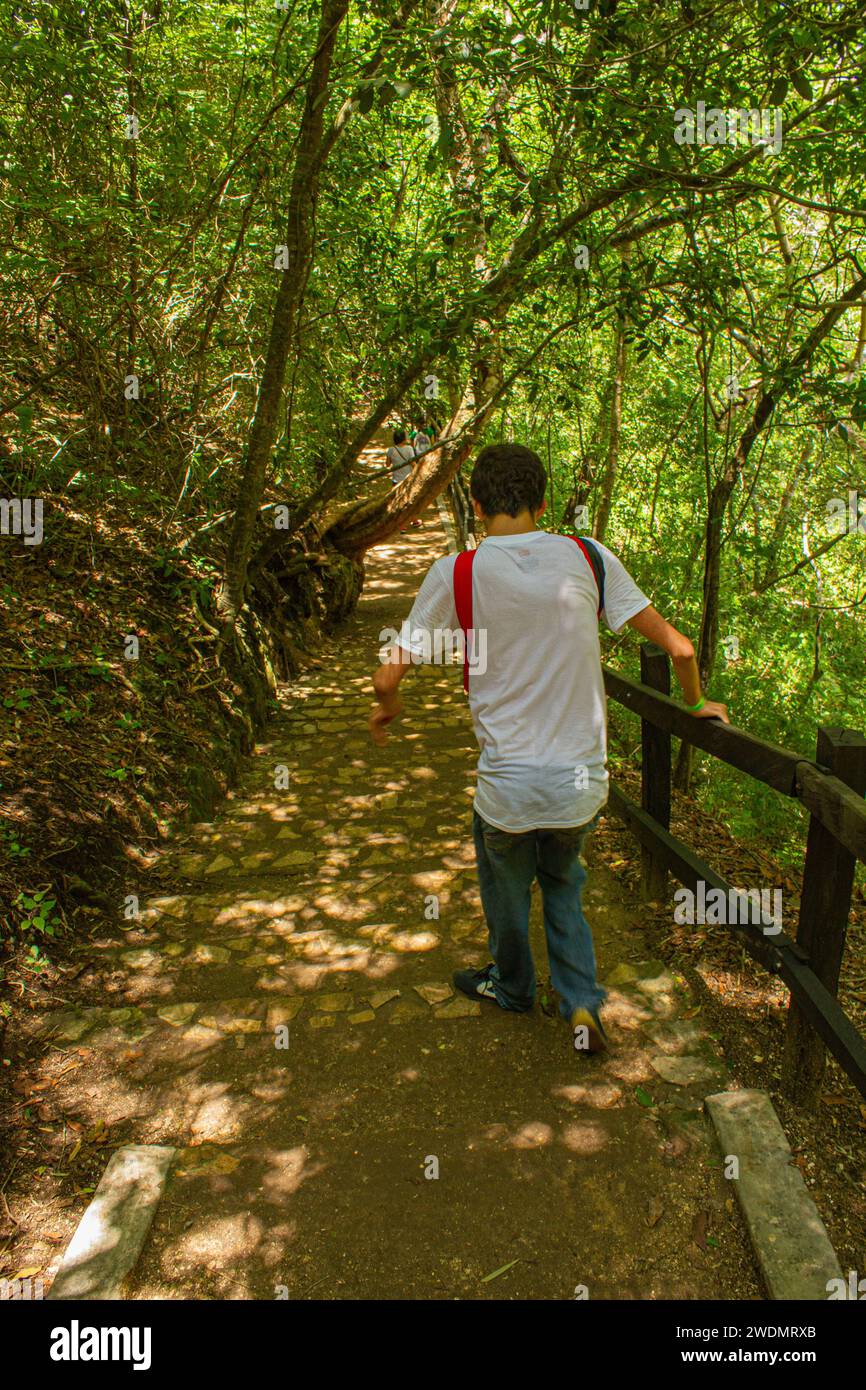 Tranquillità in discesa: Individuale che scende le scale al Parco El Chiflón, Chiapas, Messico Foto Stock