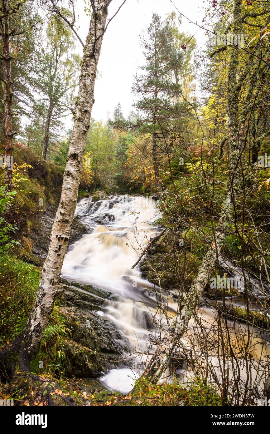 Plodda Falls, cascata nelle Highlands scozzesi circondata dalla foresta. Scozia, Regno Unito Foto Stock