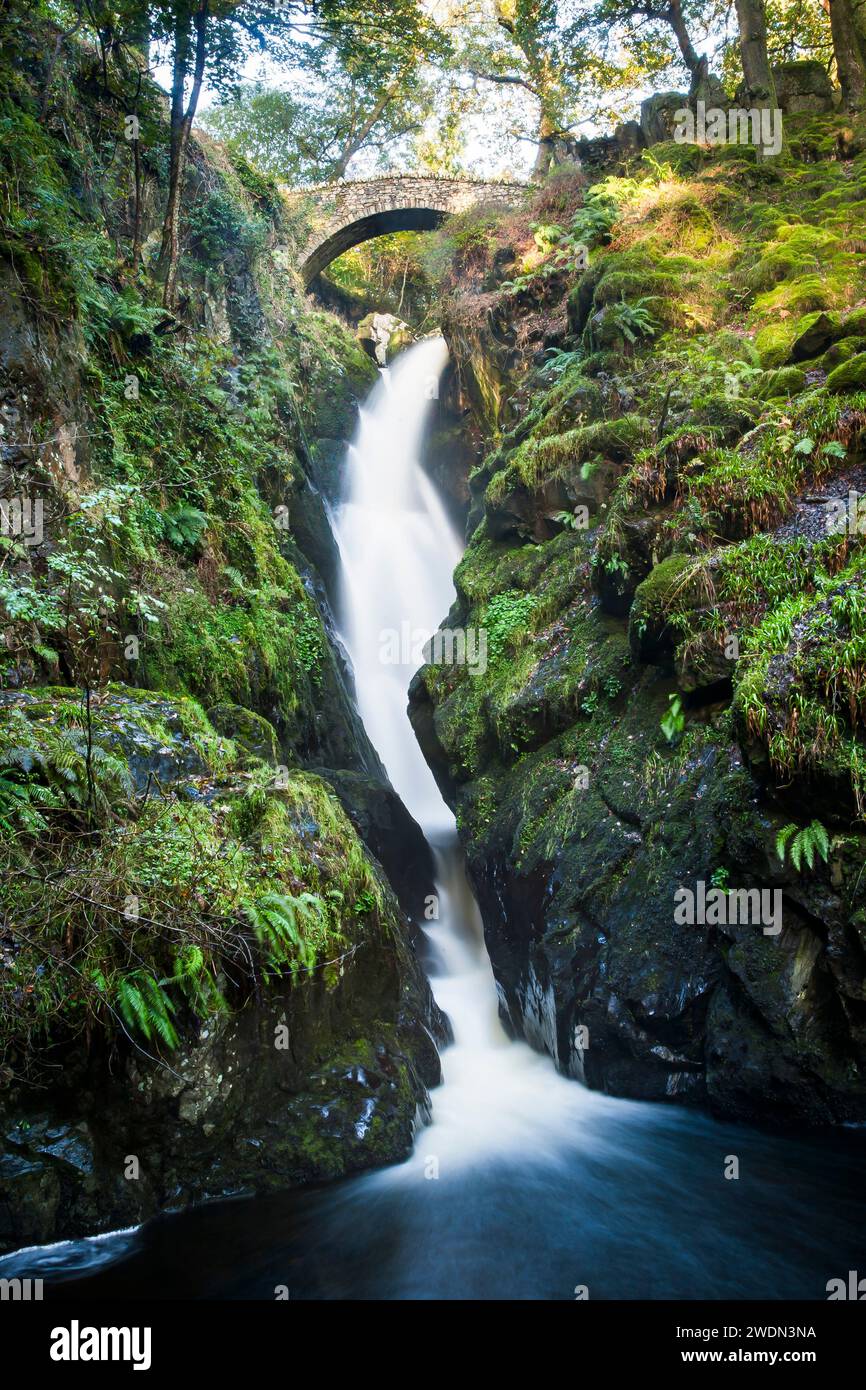 Aira Force, famosa cascata con ponte in pietra nel Lake District, Cumbria, Regno Unito Foto Stock