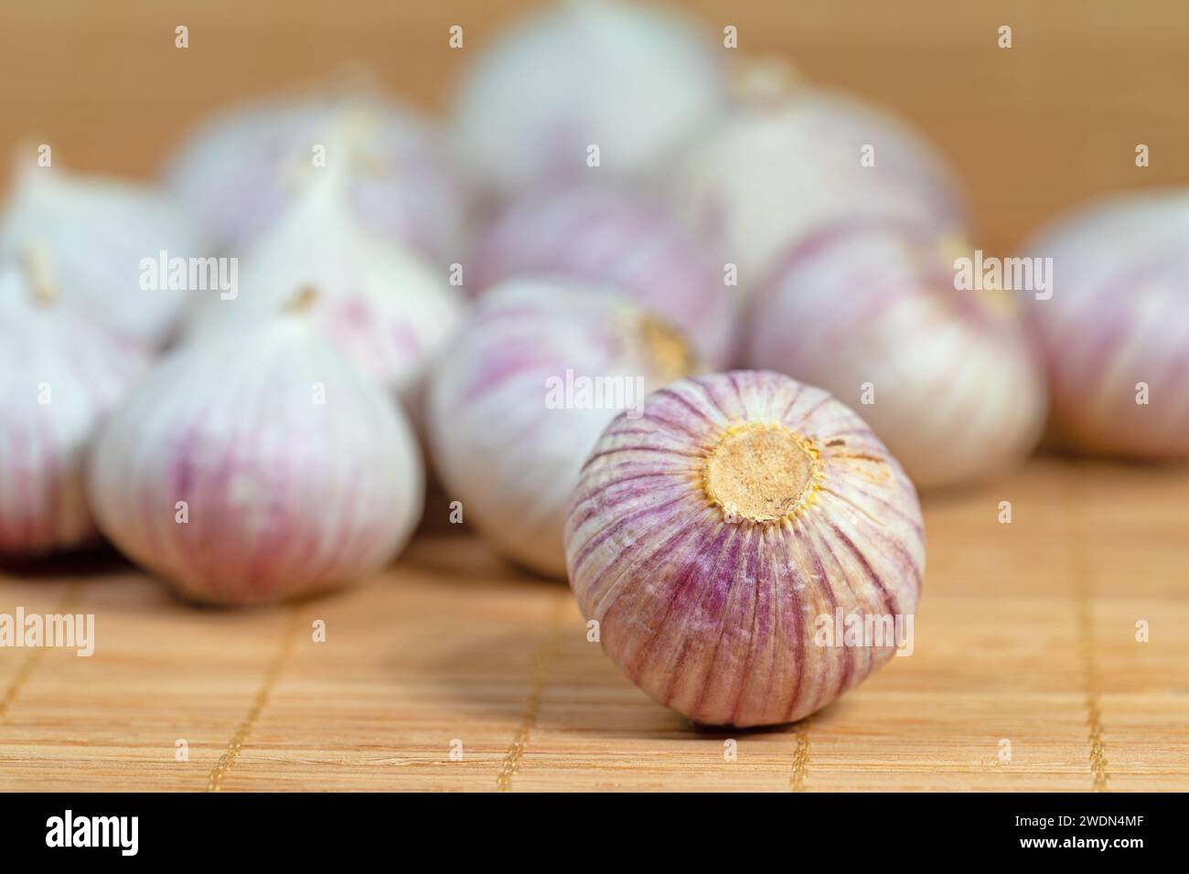 Solo aglio in un primo piano Foto Stock