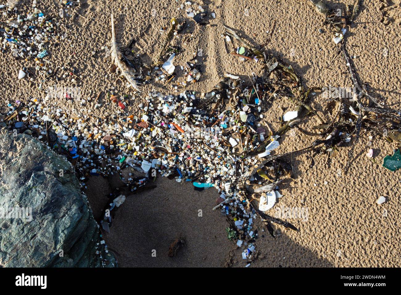 Watergate Bay, Cornovaglia, Inghilterra, 29 novembre 2023, piccoli frammenti di plastica su una spiaggia della Cornovaglia Foto Stock