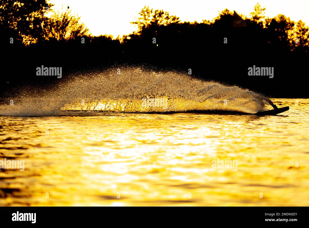 Silhouette di un wakeboarder che si sveglia al tramonto. Gettare acqua nell'aria. Foto Stock
