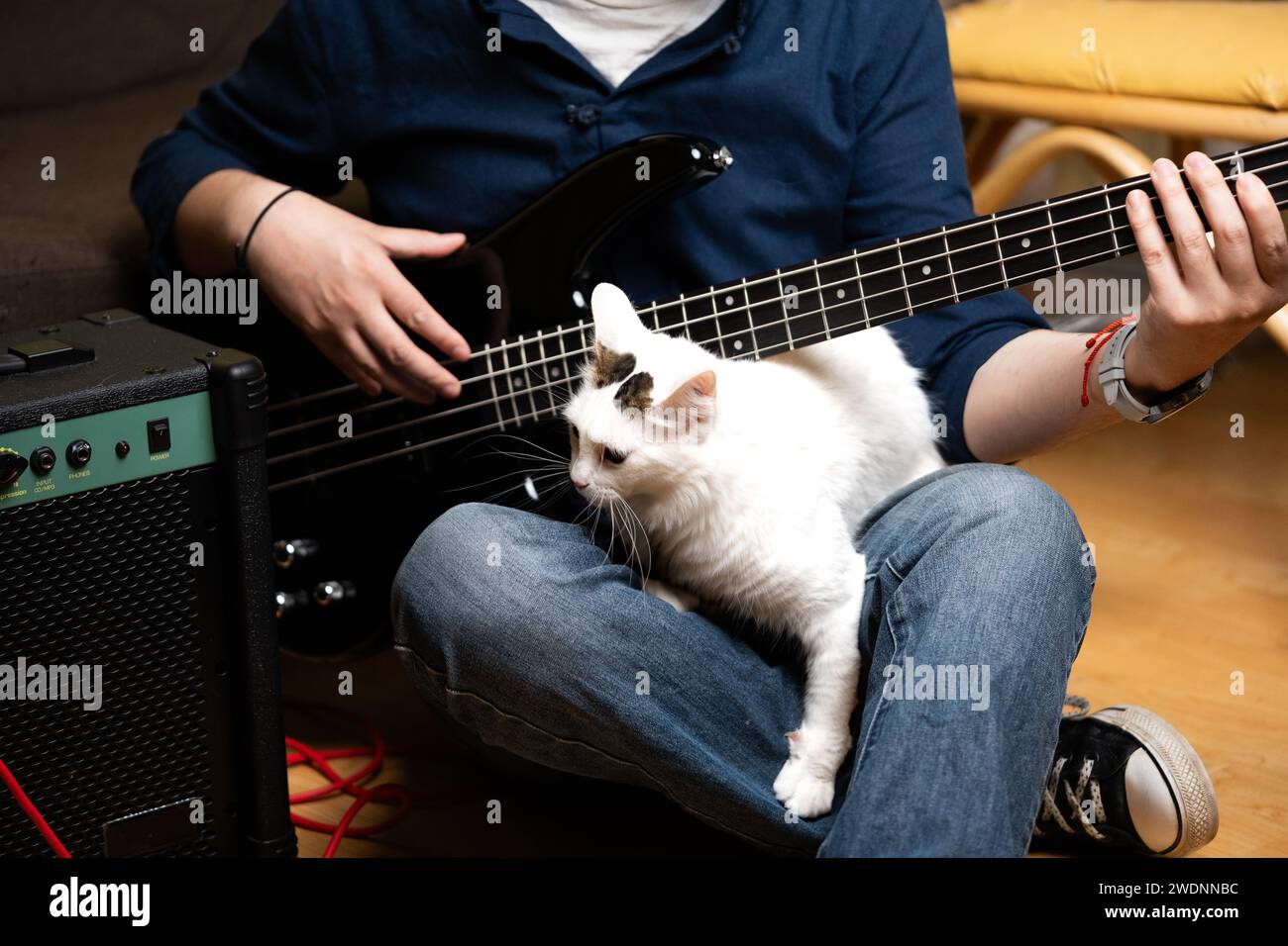 uomo latino che impara a suonare bassi elettrici a casa con un gatto bianco Foto Stock