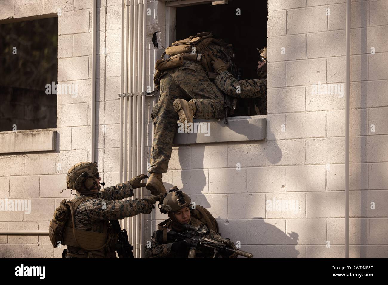 U.S. Marines with Alpha Company, Battalion Landing Team 1/8, 24th Marine Expeditionary Unit (MEU), arrampicarsi attraverso la finestra di un edificio durante le operazioni militari su terreno urbano come parte del Realistic Urban Training (RUT) a Fort Barfoot, Virginia, 18 gennaio 2024. RUT fornisce al 24th MEU l'opportunità di operare in ambienti sconosciuti, integrare le unità della Marine Air Ground Task Force e addestrarsi per essere designato come operazioni speciali capaci. (Foto del corpo dei Marines degli Stati Uniti di Lance Cpl. Ryan Ramsammy) Foto Stock