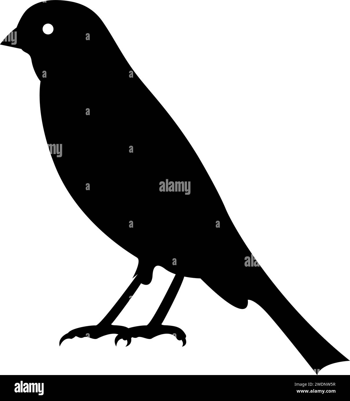 Silhouette di uccello canarino, isolata sullo sfondo bianco, illustrazione vettoriale Illustrazione Vettoriale