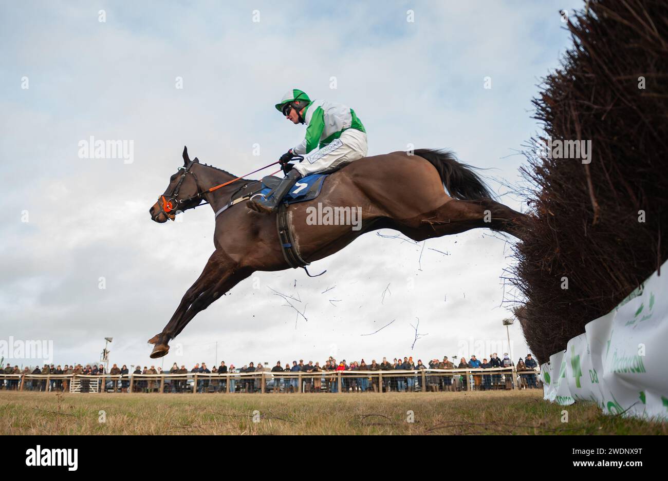 Wagner e il fantino James King vincono la gara di apertura all'Heythrop Hunt P2P a Cocklebarrow, Cotswolds, 21/01/2024. Credito immagini equine JTW / Alamy. Foto Stock