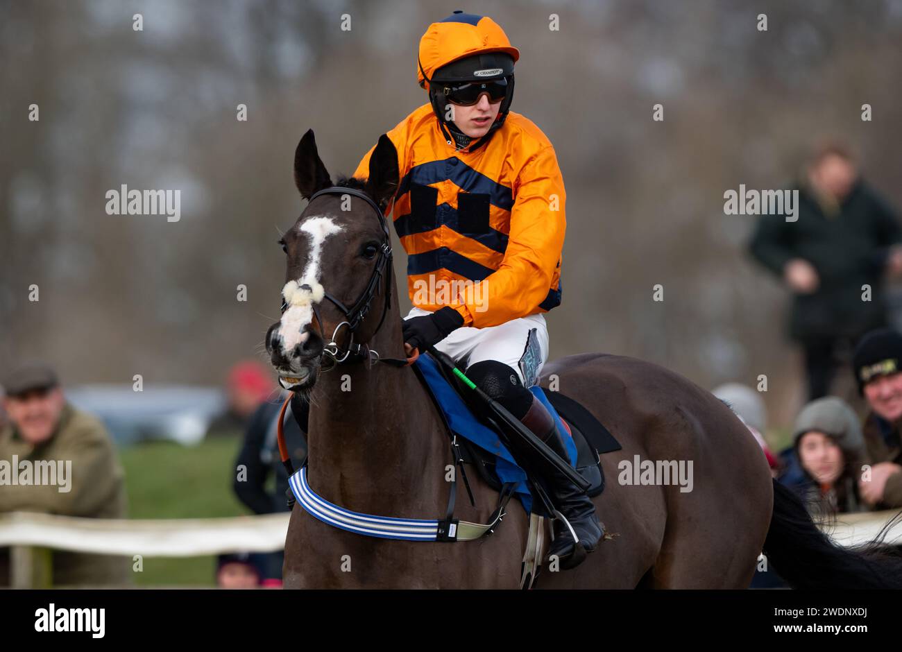 Caballo Diablo e il fantino Paddy Barlow (sete arancioni) vincono il Restricted all'Heythrop Hunt P2P a Cocklebarrow. Credito immagini equine JTW / Alamy. Foto Stock