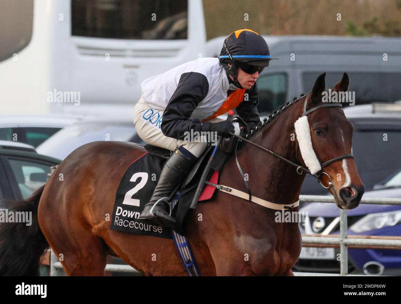 Lungo il Royal Racecourse, Lisburn, Irlanda del Nord. 26 dicembre 2023. Incontro nazionale di caccia del giorno di Santo Stefano - Irish Stallion Farms EBF Beginners Chase. Ippodromo Atacanter (2) guidato dal fantino Darragh o'Keeffe allenato da Ross o'Sullivan. Foto Stock