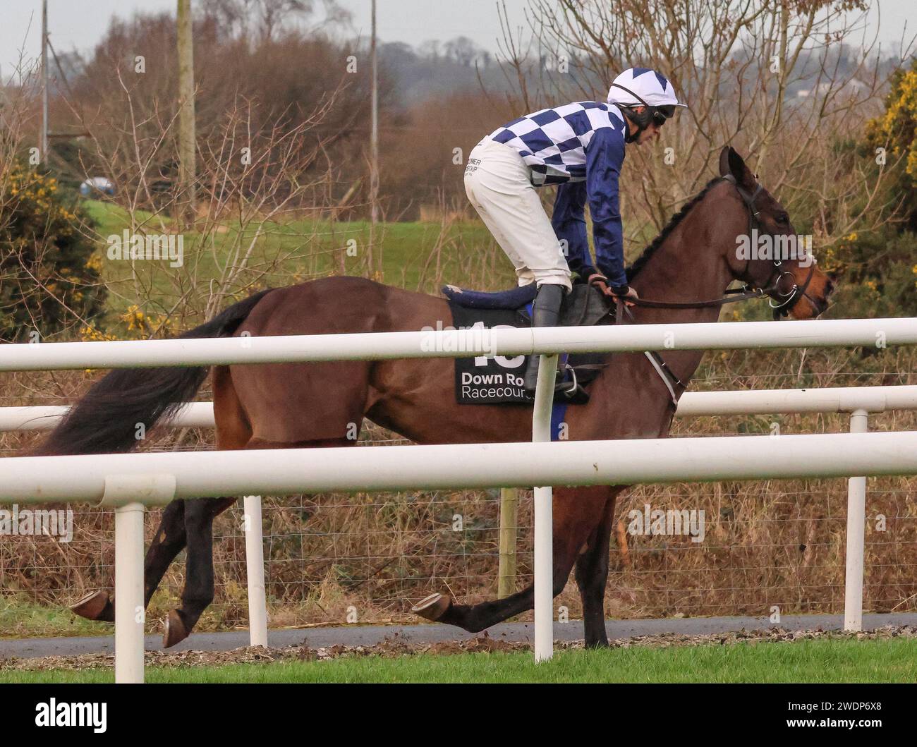 Lungo il Royal Racecourse, Lisburn, Irlanda del Nord. 26 dicembre 2023. Incontro nazionale di caccia del giorno di Santo Stefano - Irish Stallion Farms EBF Beginners Chase. Cavallo da corsa Soldaro (13) guidato dal fantino Conor Maxwell allenato da Gavin Cromwell. Foto Stock