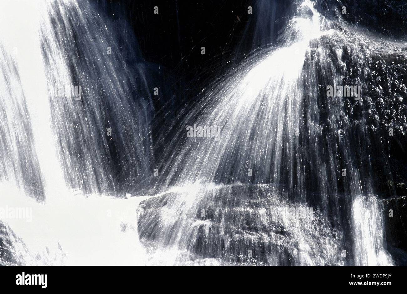 Dettaglio cascata, Tasmania, Australia Foto Stock