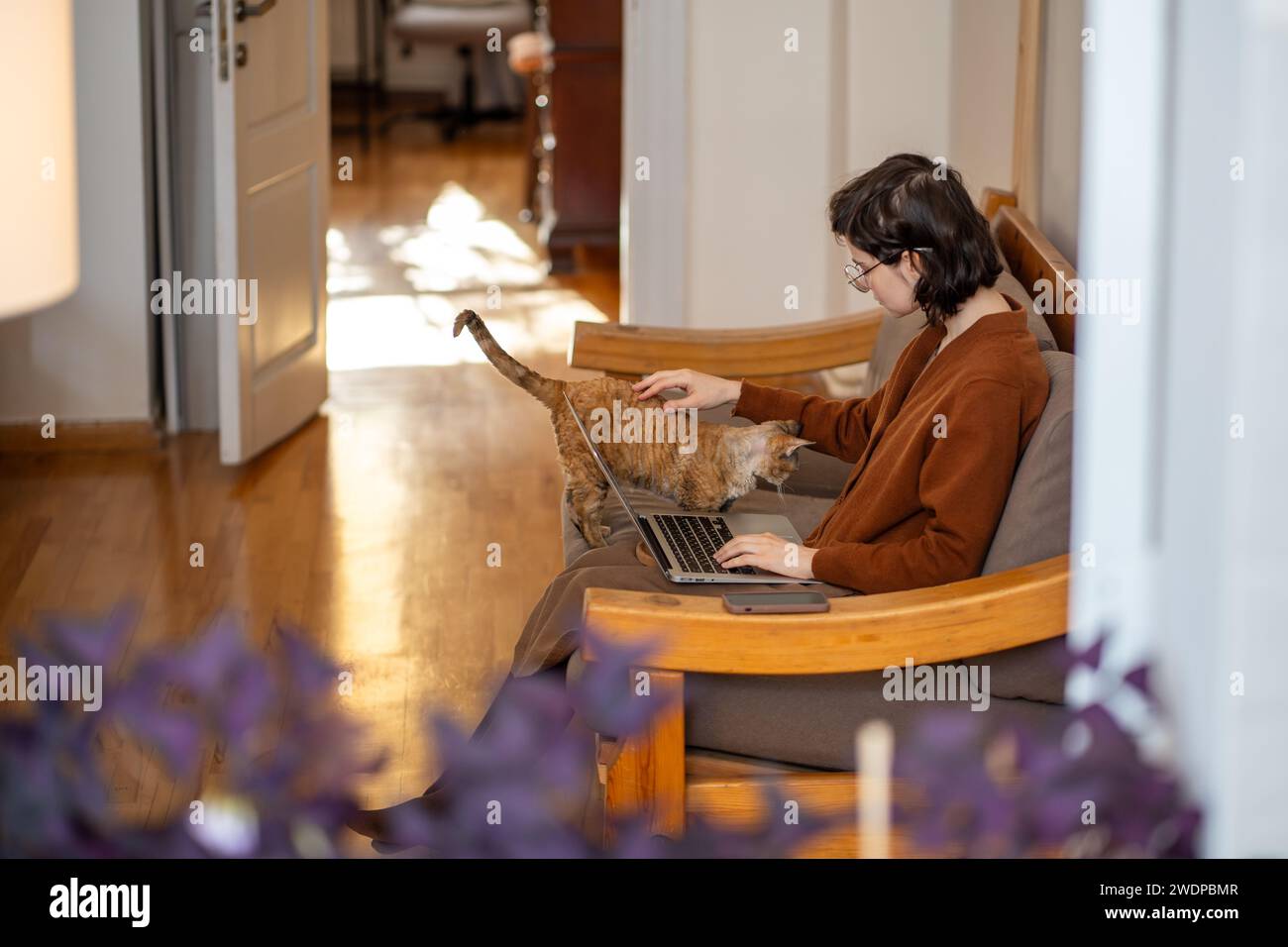 Cat vuole l'attenzione di una donna freelance che lavora a casa con un laptop. PET therapy, antistress. Foto Stock