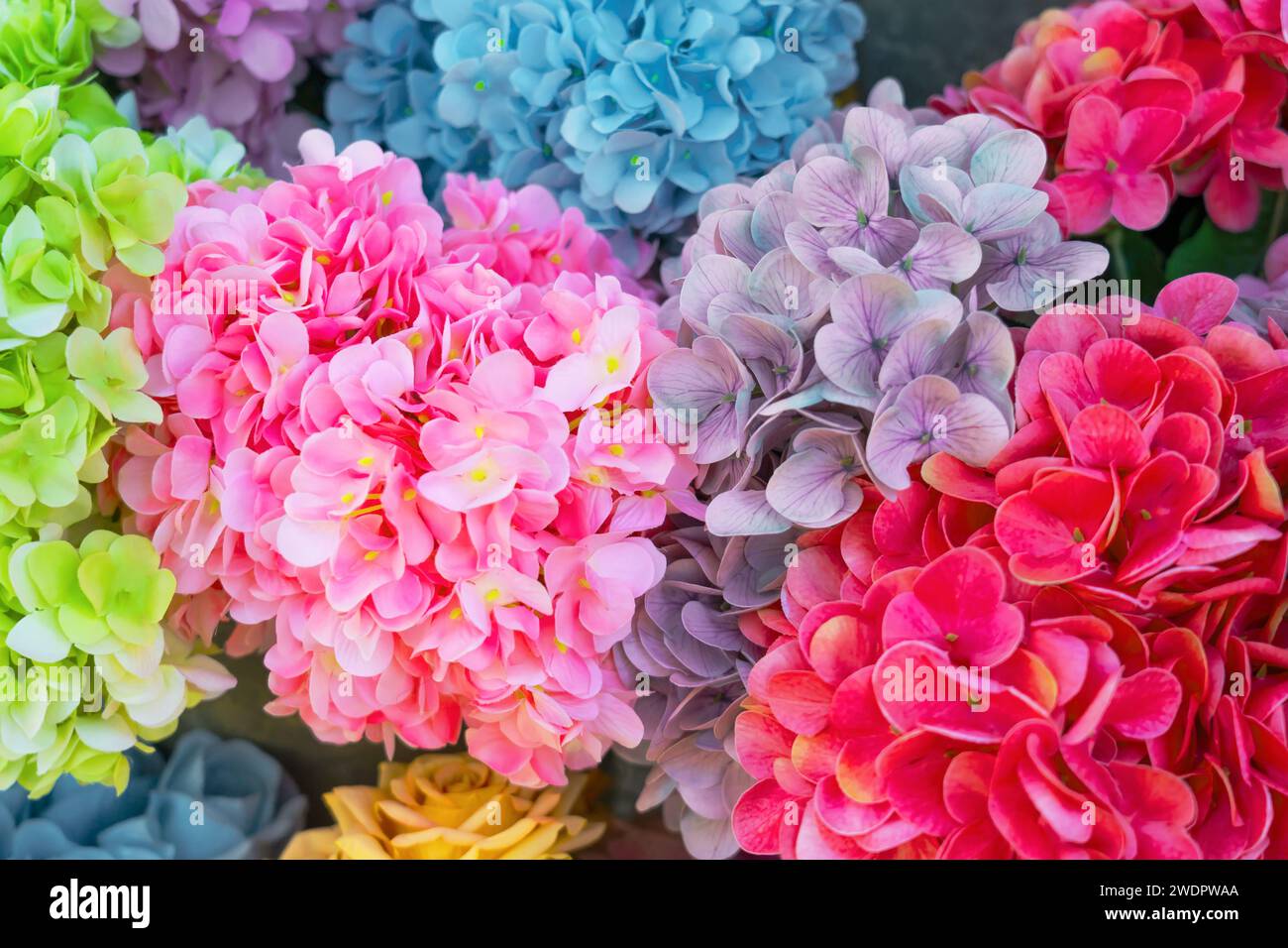 Delicato bouquet di sfondo floreale naturale multicolore in colori pastello azzurro, rosa, rosso viola. Foto Stock