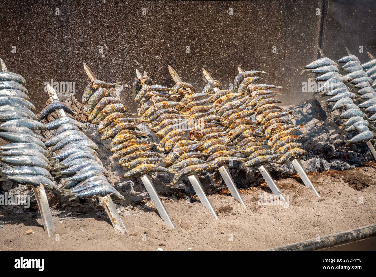 Tradizionali sardine alla griglia spagnole cucinate su spiedini. Andalusia, Spagna Foto Stock