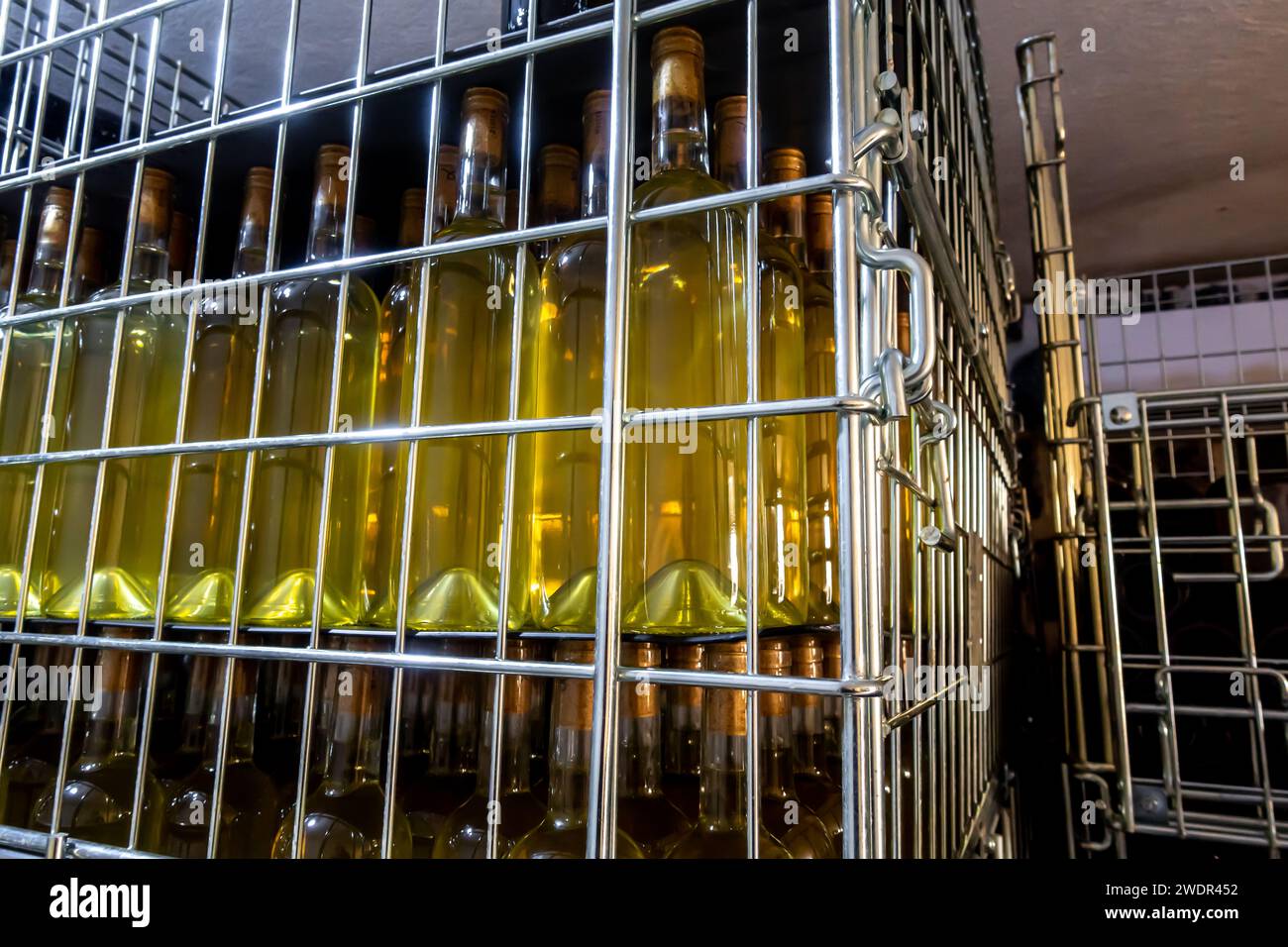 Vino bianco in una gabbia di stoccaggio, metallo, vino Cehennem Deresi Hells Creek di Midin, Sirnak nella cantina Midin Şarapçılık nel sud-est della Turchia Foto Stock