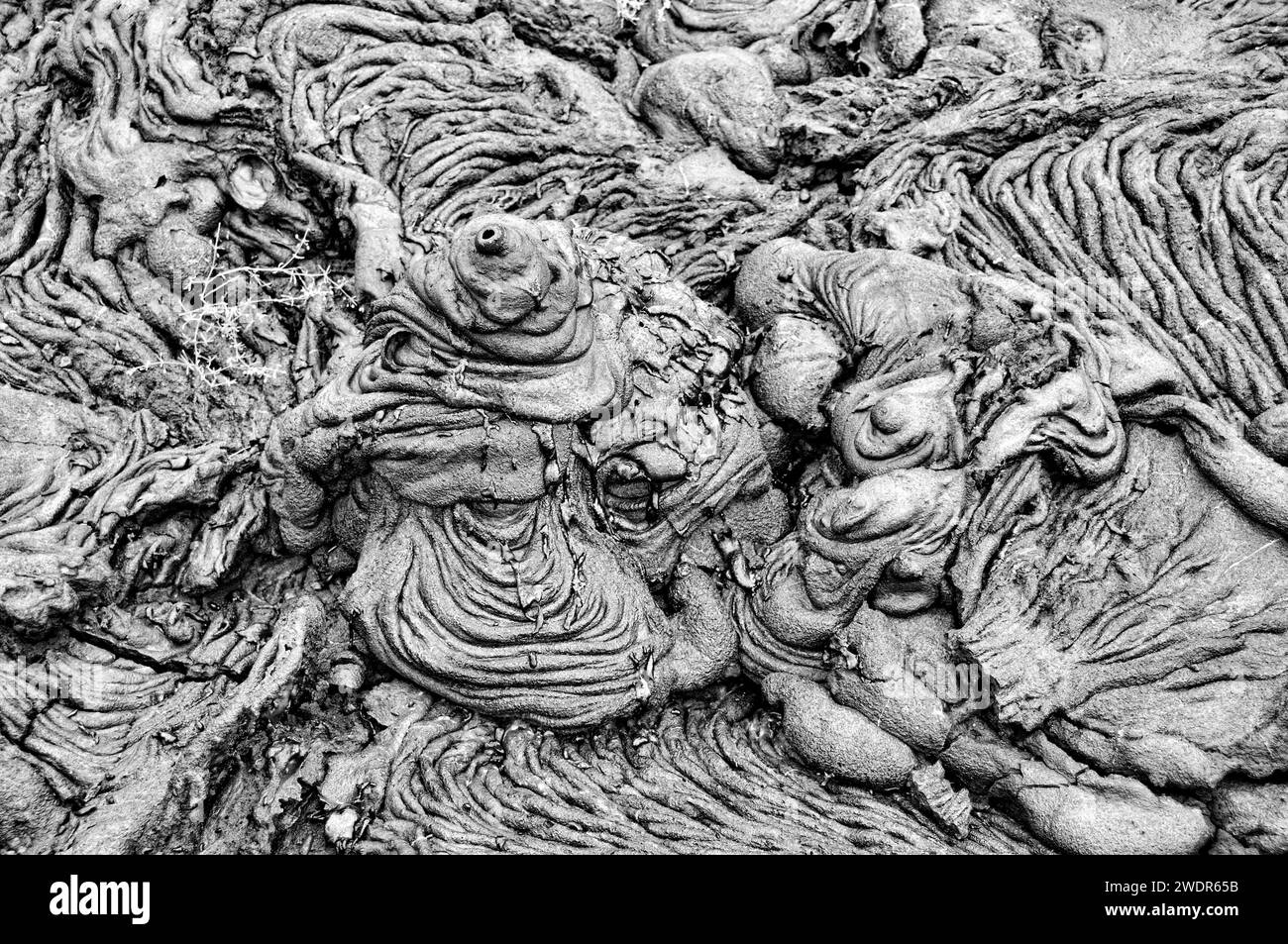 Sud America, Ecuador, Isole Galapagos, UNESCO, Patrimonio Mondiale dell'Umanità, isola di Santiago, Baia di Sullivan, campo di lava, Foto Stock