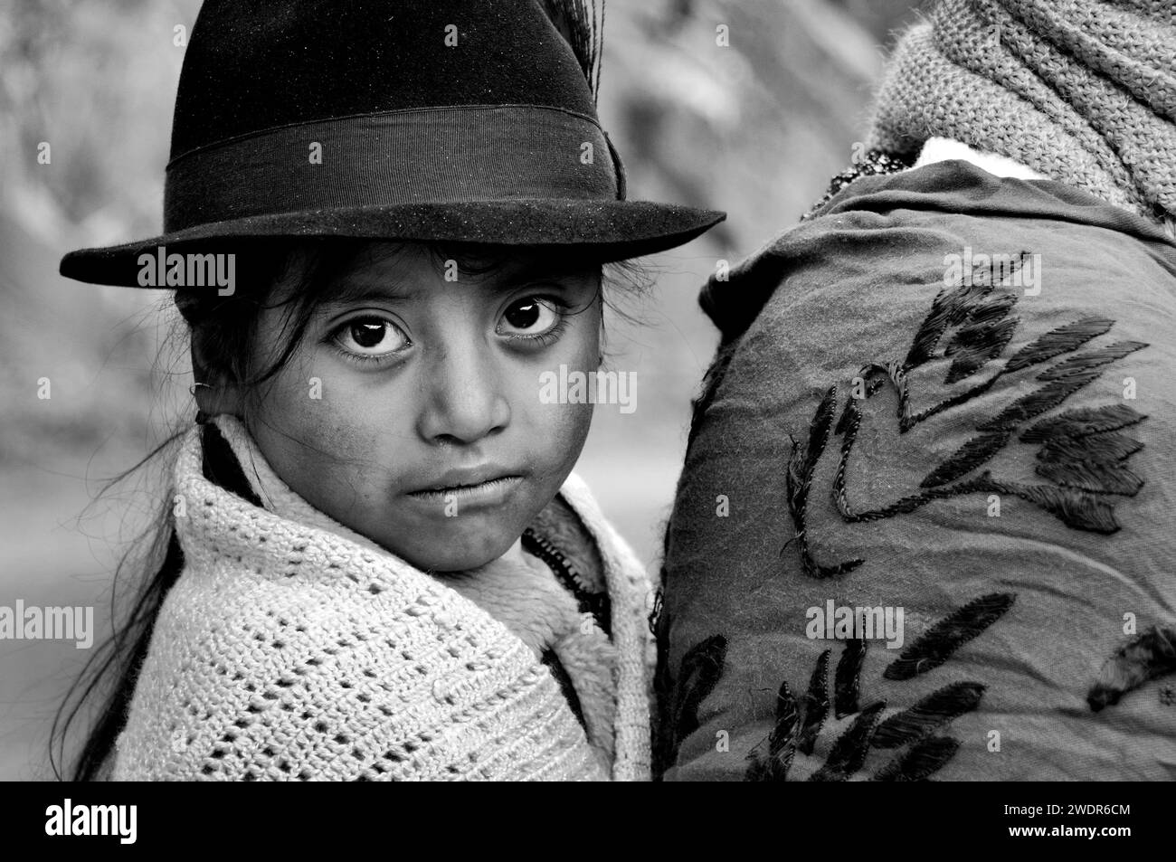 Sud America, Ecuador, Ande, Highland, provincia di Cotopaxi, Zumbahua, quichua ragazza Foto Stock