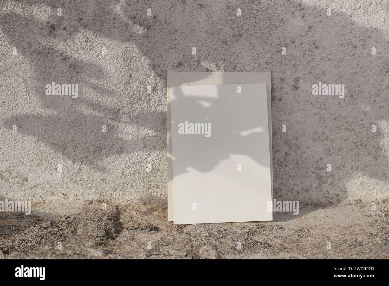 Mockup di invito a biglietti di auguri vuoti alla luce del sole, sovrapposizione di ombre floreali con fogliame. Sfondo della parete vecchio e trasandato bianco, terreno in calcestruzzo. Elegante Foto Stock