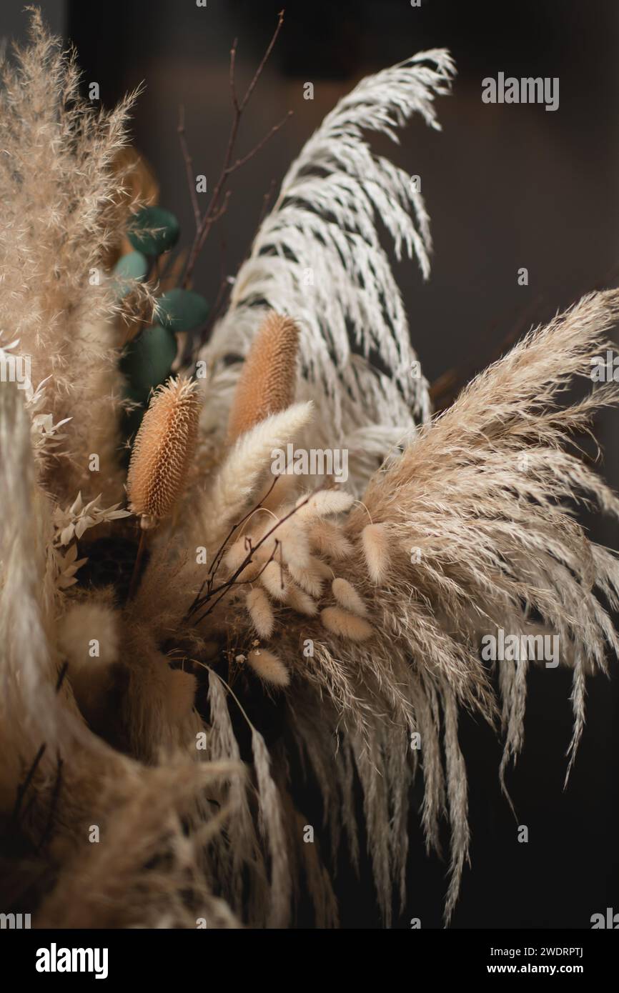 Primo piano del cardo secco, delle code di coniglio e del bouquet di erba di pampa Foto Stock
