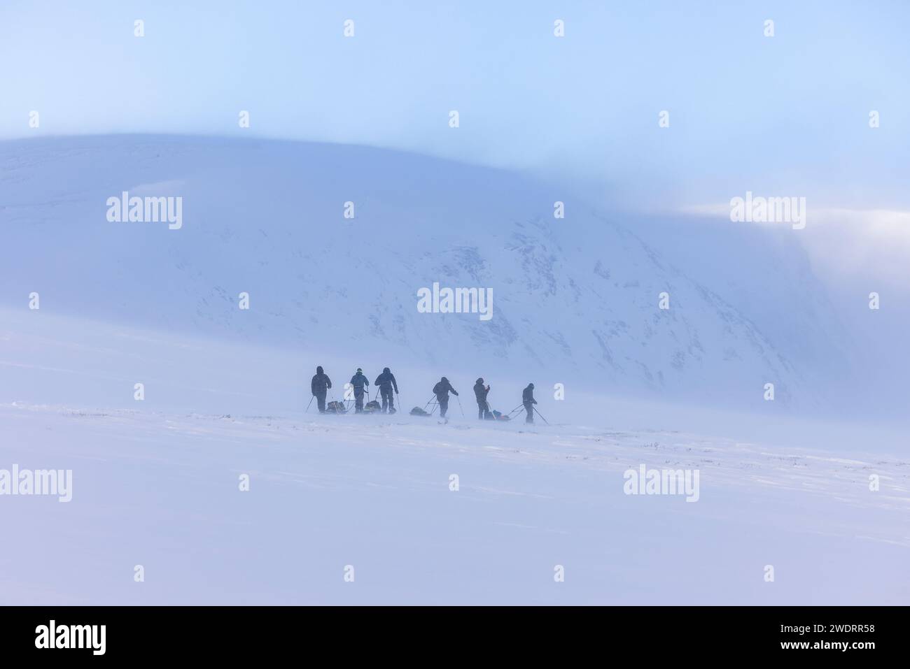 un gruppo di pulka da sci alpinismo Foto Stock