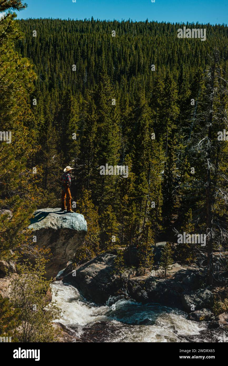 Cowboy che si affaccia sulla Wyoming Wilderness Foto Stock