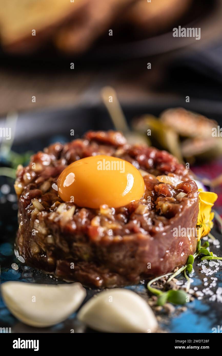 Tartare di manzo con tuorlo d'uovo su un piatto con aglio e pane tostato. Foto Stock