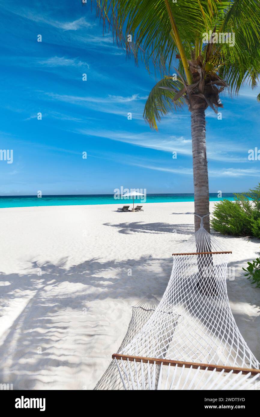 Spiaggia tropicale, paesaggio con amaca e sabbia bianca, Maldive, Oceano Indiano, Asia Foto Stock