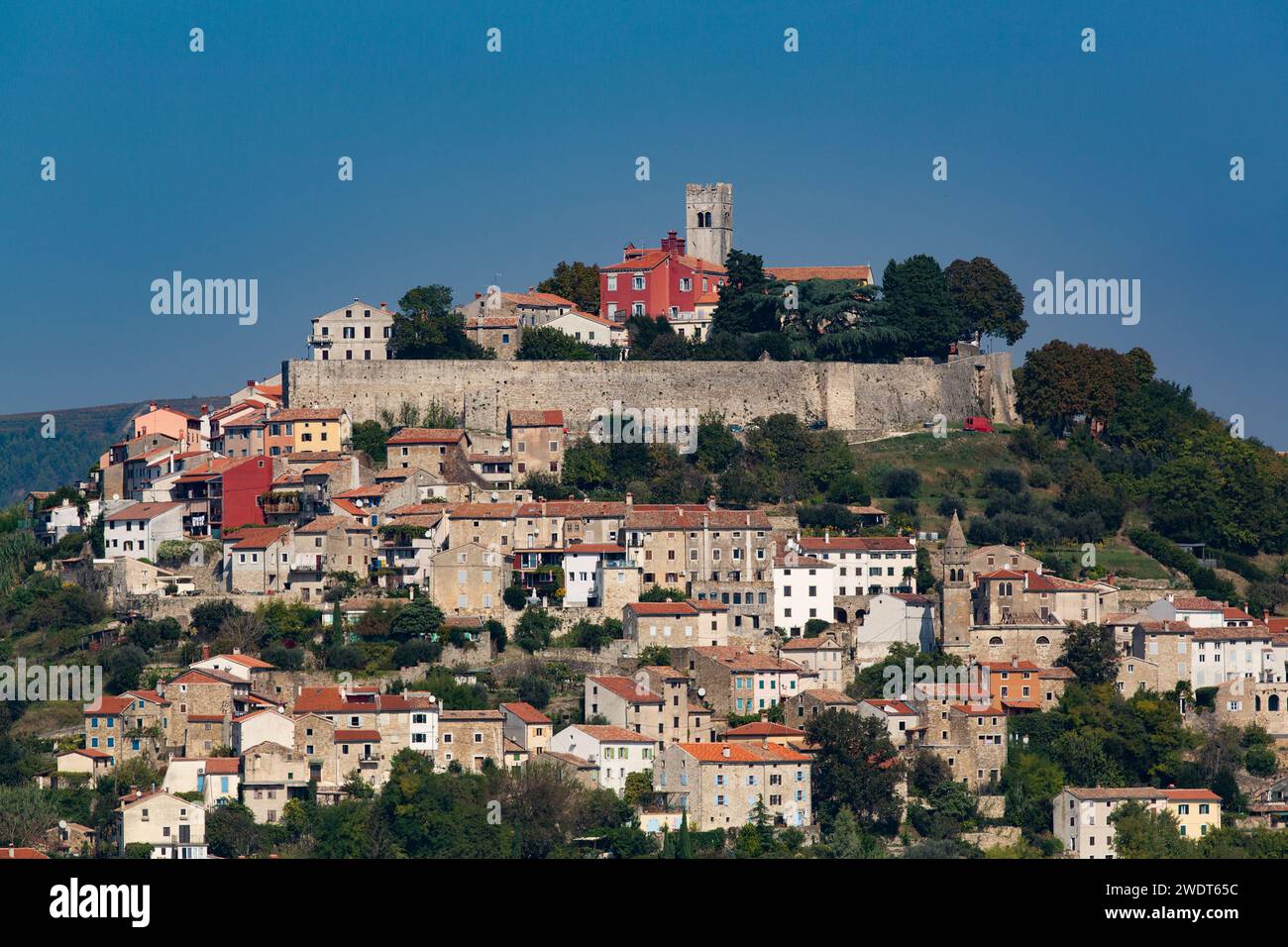 Vista a lunga distanza, Motovun, Croazia, Europa Foto Stock