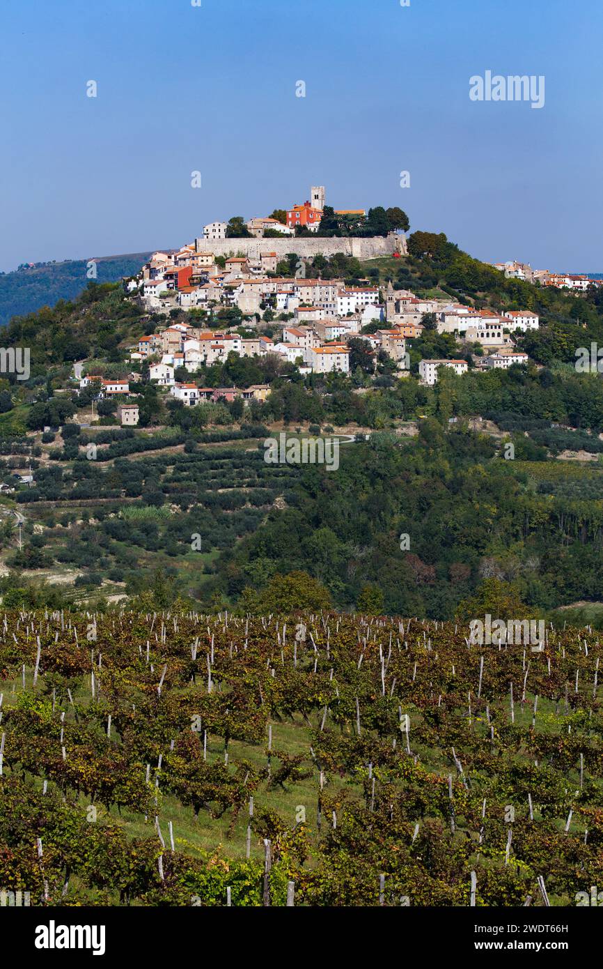 Vista a lunga distanza, Motovun, Croazia, Europa Foto Stock