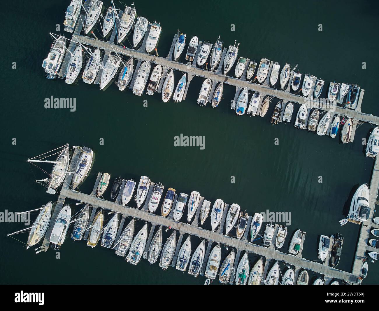 Una vista aerea che guarda direttamente giù gli yacht legati nella Dart Marina, sul fiume Dart, Kingswear, sulla costa meridionale del Devon, in Inghilterra Foto Stock