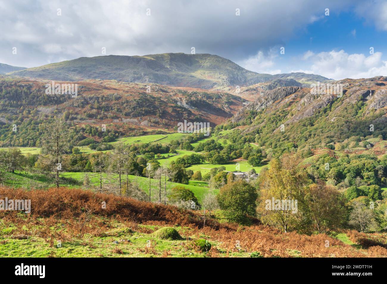 Goat Crag e Coniston Moor da Tarn Hows vicino a Coniston nel Lake District sud-orientale, Lake District National Park Foto Stock