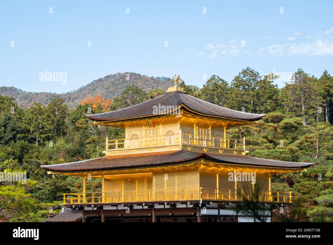 Tempio Kinkaku-ji del Padiglione d'Oro a Kyoto, sito patrimonio dell'umanità dell'UNESCO, Kyoto, Honshu, Giappone, Asia Foto Stock